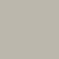 mindful gray paint chip